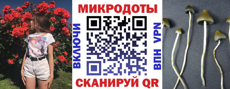 Псилоцибиновые грибы ЛСД  kraken рабочий сайт  Тайга  продажа наркотиков 